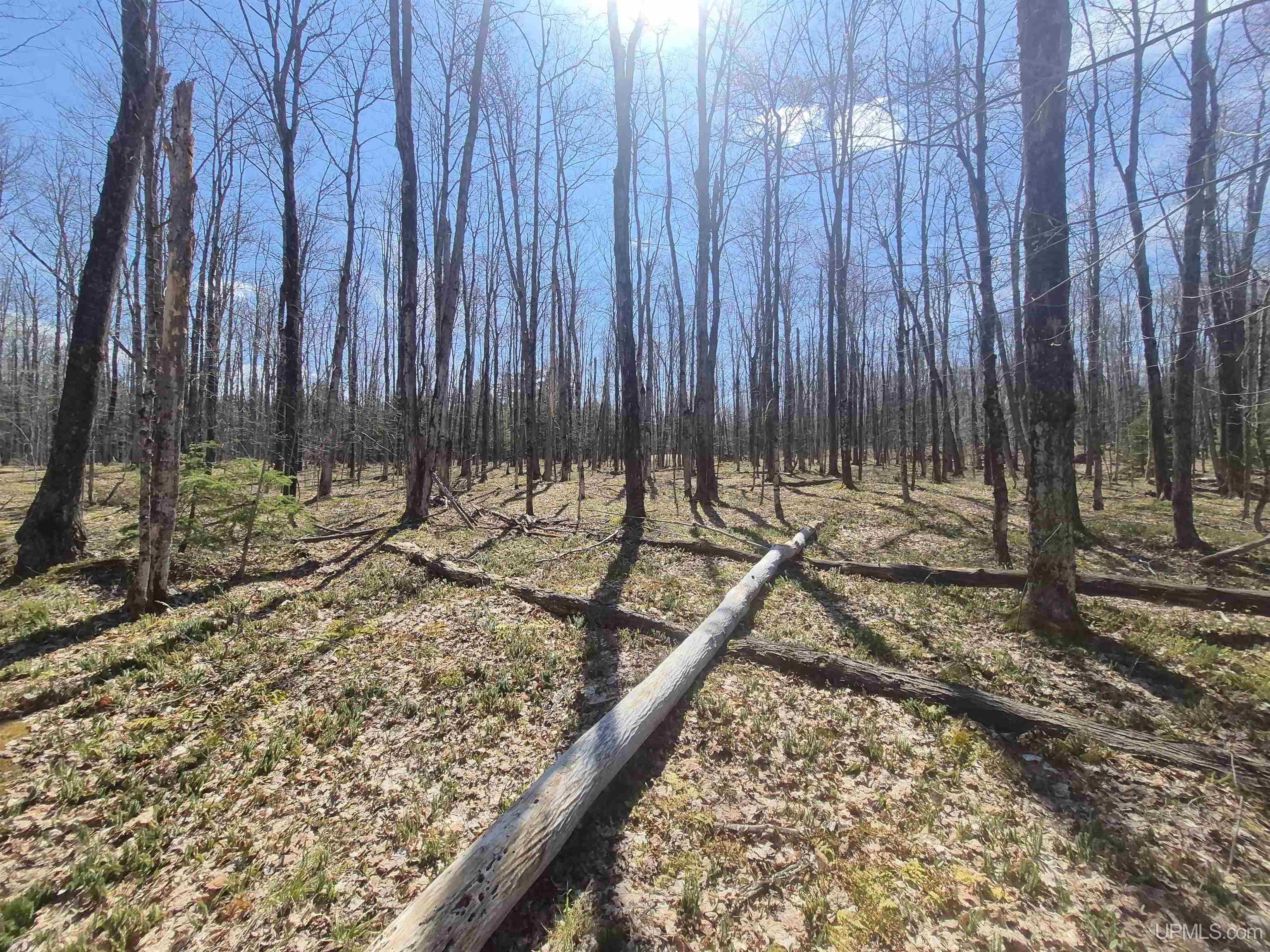 12-acres Salmon Road L'Anse, MI 49946 - Photo 32 of 39