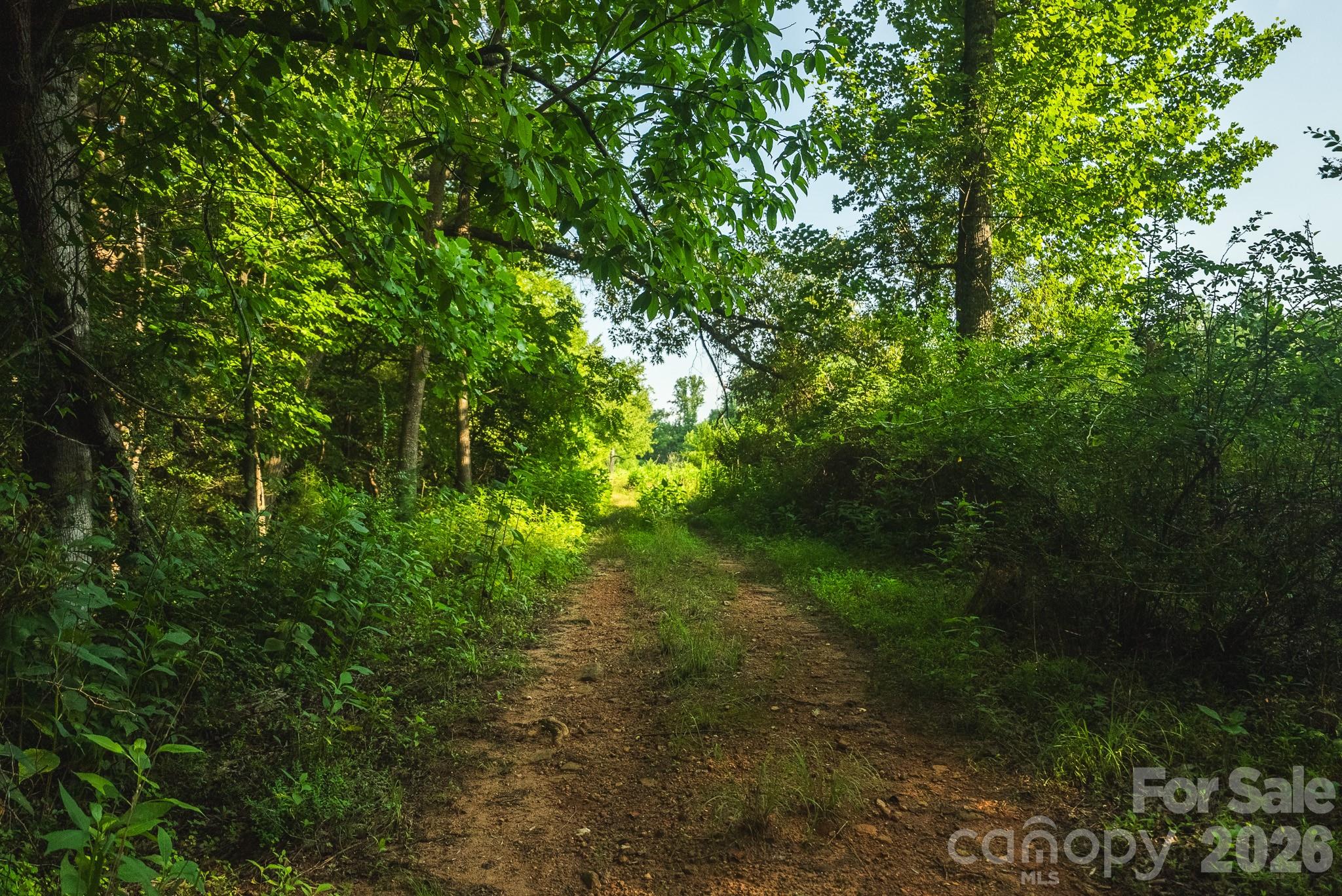 Tbd Sandbar Road Granite Falls, NC 28630 - Photo 33 of 43