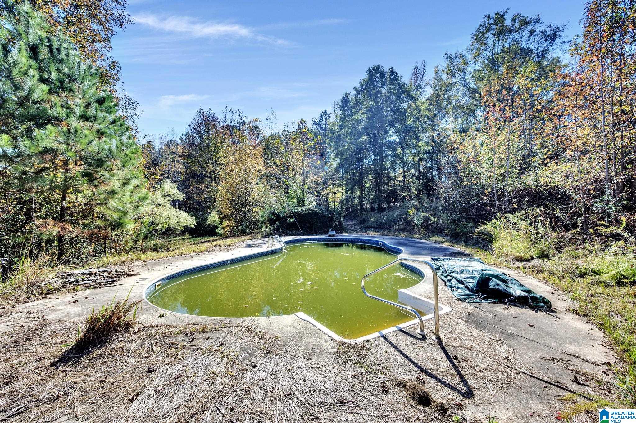 9733 Bankston Road Dora, AL 35062 - Photo 35 of 40