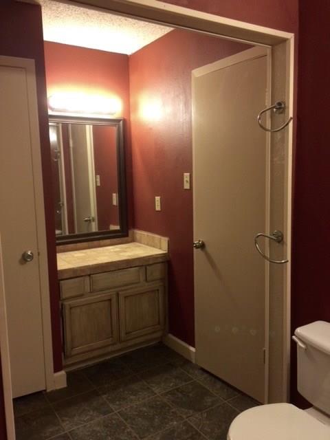 718 Decker Prairie Drive Austin, TX 78748 - Photo 16 of 22 Bathroom featuring vanity, a textured ceiling, and a shower with shower door