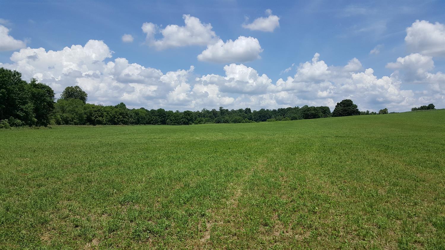 0 North Co Road Batesville, IN 47006 - Photo 1 of 1