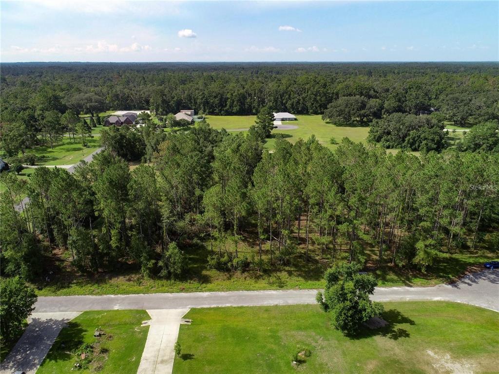 0 88th Trail Live Oak, FL 32060 - Photo 5 of 12 a view of a yard with an outdoor space