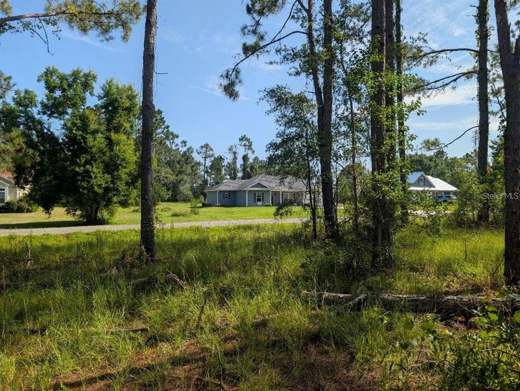 0 88th Trail Live Oak, FL 32060 - Photo 7 of 12 a view of yard with green space