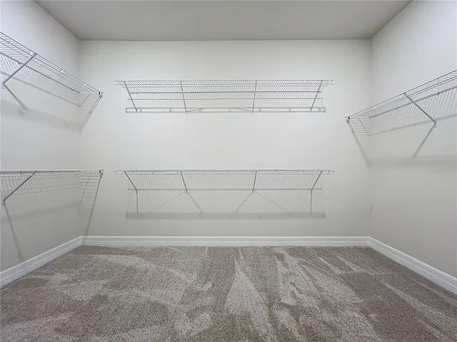 a bathroom with a shower a sink and a mirror