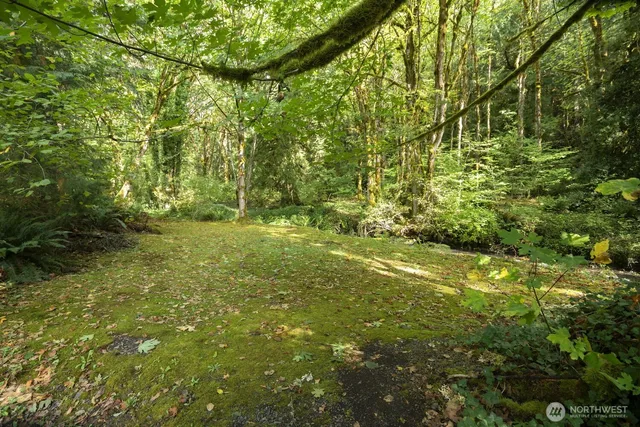a view of yard with green space
