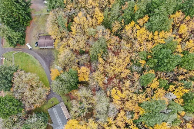 a view of a yard with plants