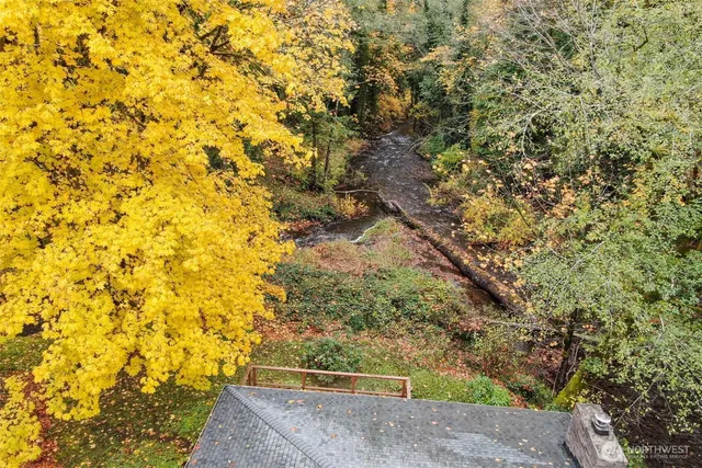 a view of a yard with large trees