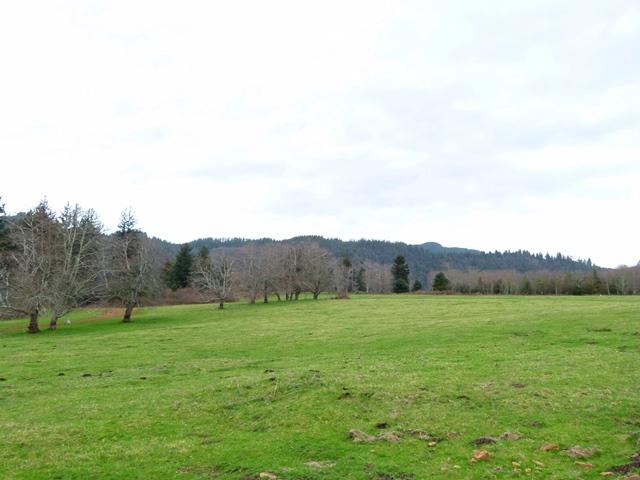 Tl#1008 Bel Air Road Cloverdale, OR 97112 - Photo 12 of 20 P1080359