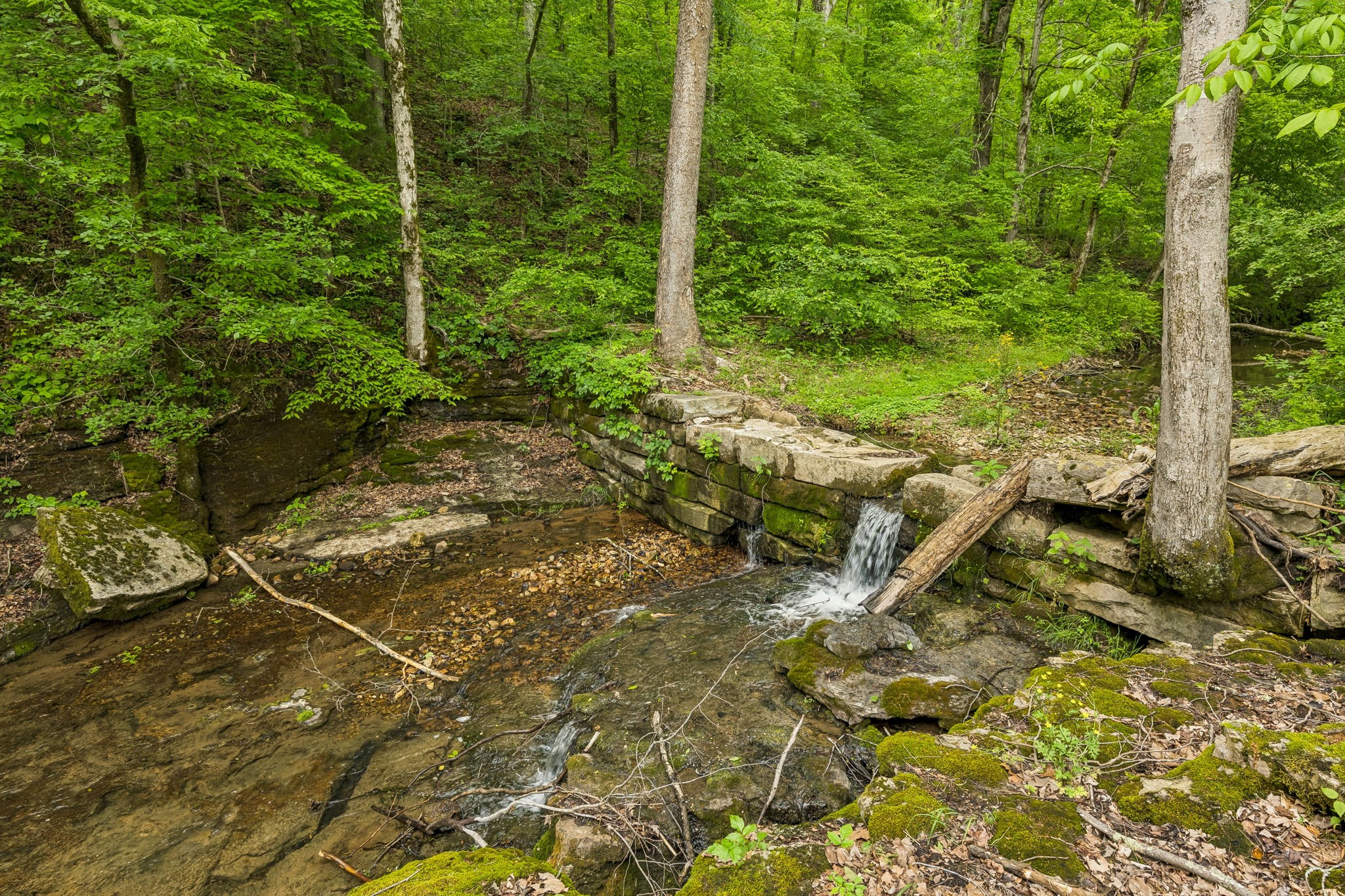 831 Defeated Creek Road Centerville, TN 37033 - Photo 21 of 26 a backyard of a house with lots of green space