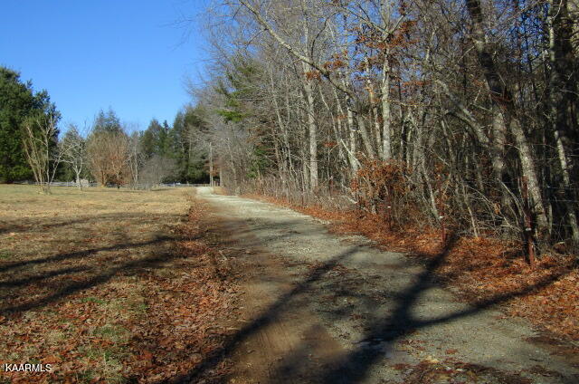 451 Shadberry Road Crossville, TN 38572 - Photo 3 of 16 Driveway in