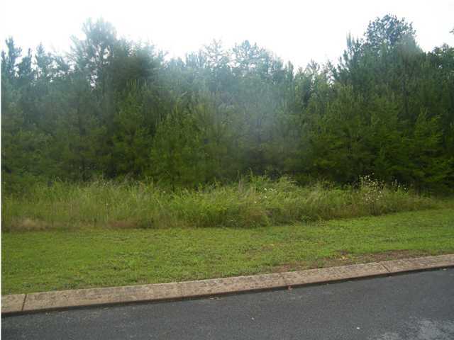 0 Springer Way Rocky Face, GA 30740 - Photo 1 of 1 Primary Photo