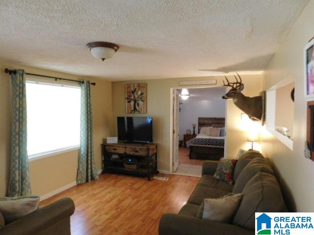 765 Mattox Road Ashland, AL 36251 - Photo 3 of 10