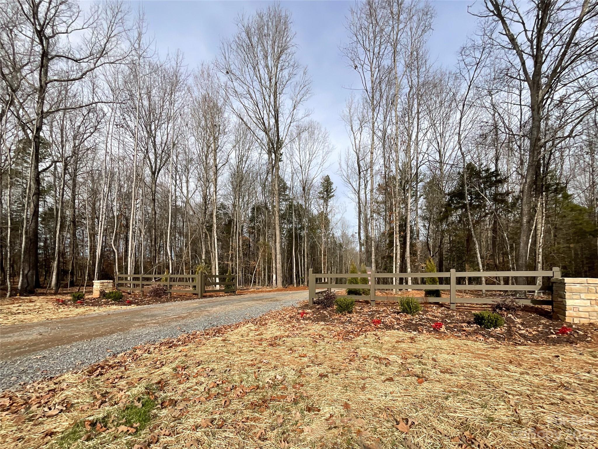806 Obenosky Road Van Wyck, SC 29720 - Photo 3 of 27 a row of road space with trees