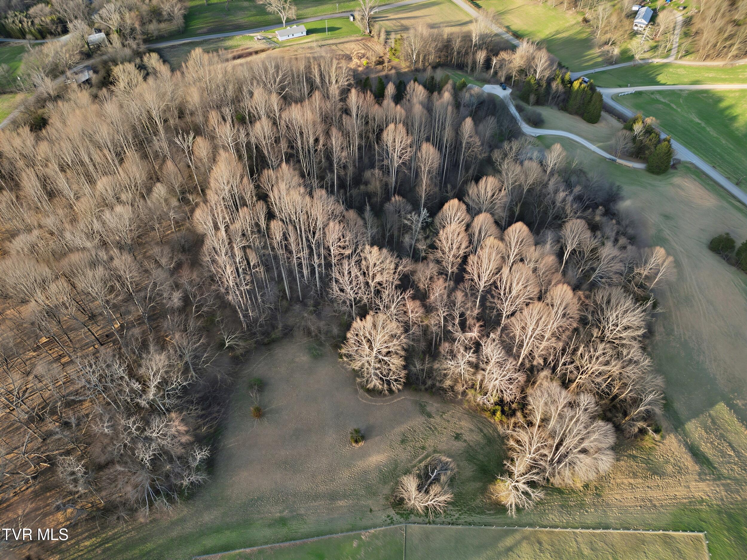 4145 Baileyton Road Greeneville, TN 37745 - Photo 62 of 69 63_11