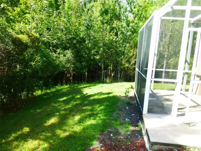 a view of backyard with plants and large trees