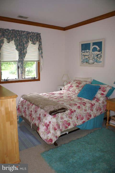 1285 Rokeby Road Upperville, VA 20184 - Photo 22 of 30 Bedroom