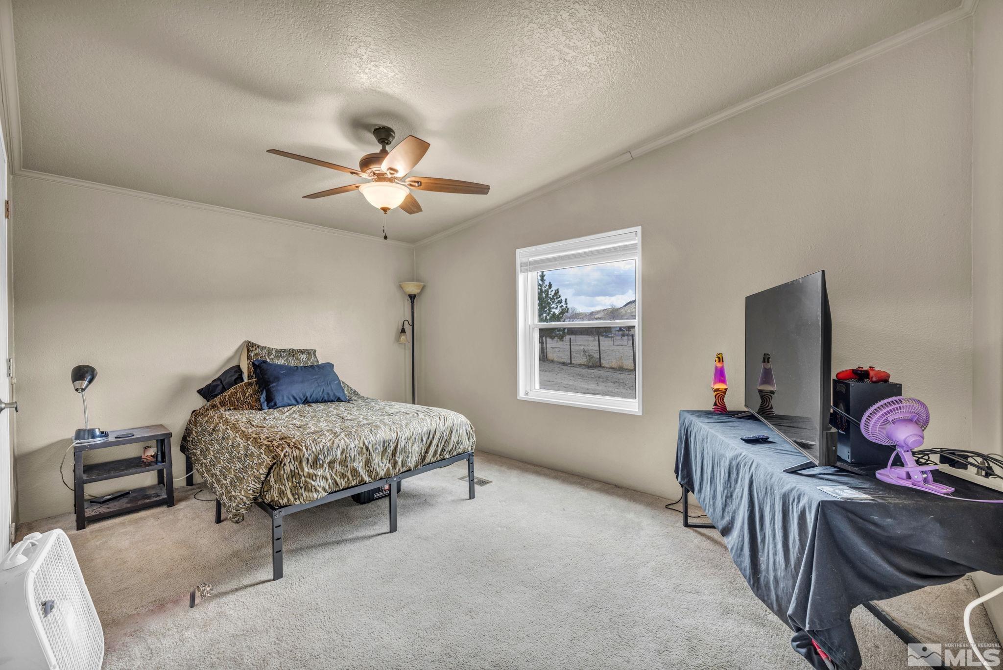 1125 7th Street Silver Springs, NV 89429 - Photo 28 of 40 Photo 28