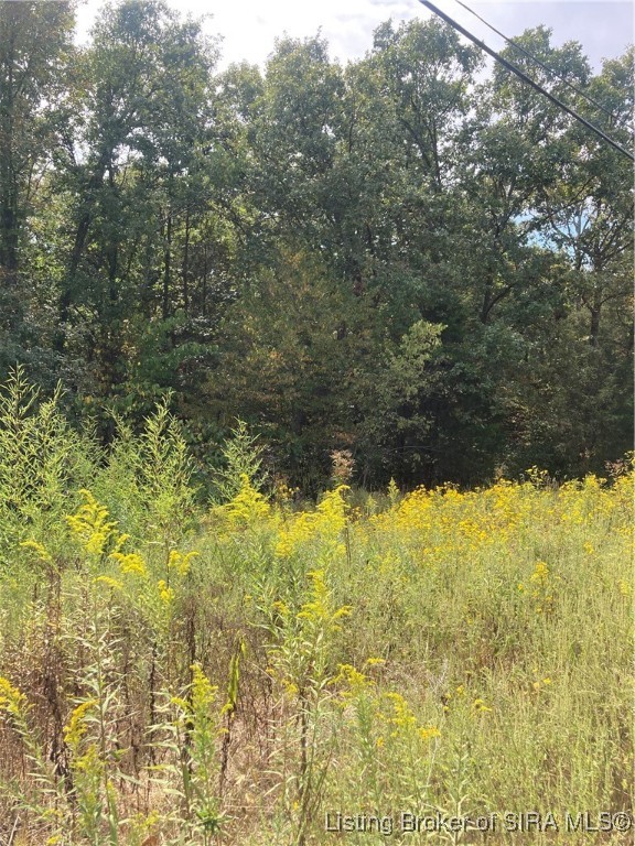 64 State Road English, IN 47118 - Photo 2 of 2