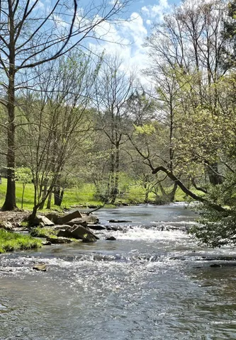 a view of a yard with an tree