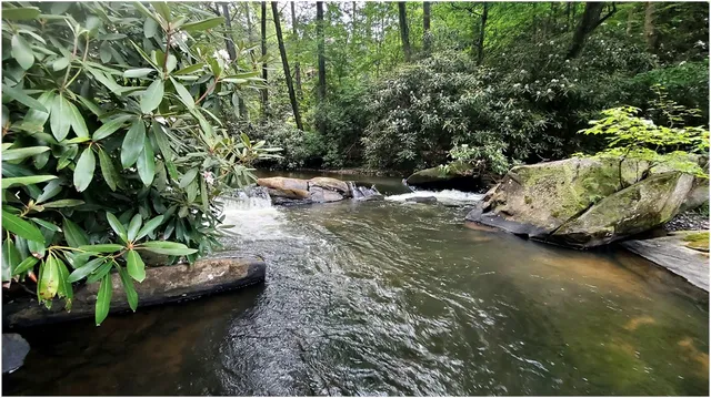 a view of a backyard of a house