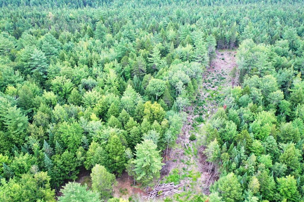 Tbd Caribou Road Passadumkeag, ME 04475 - Photo 4 of 14 DJI_0759
