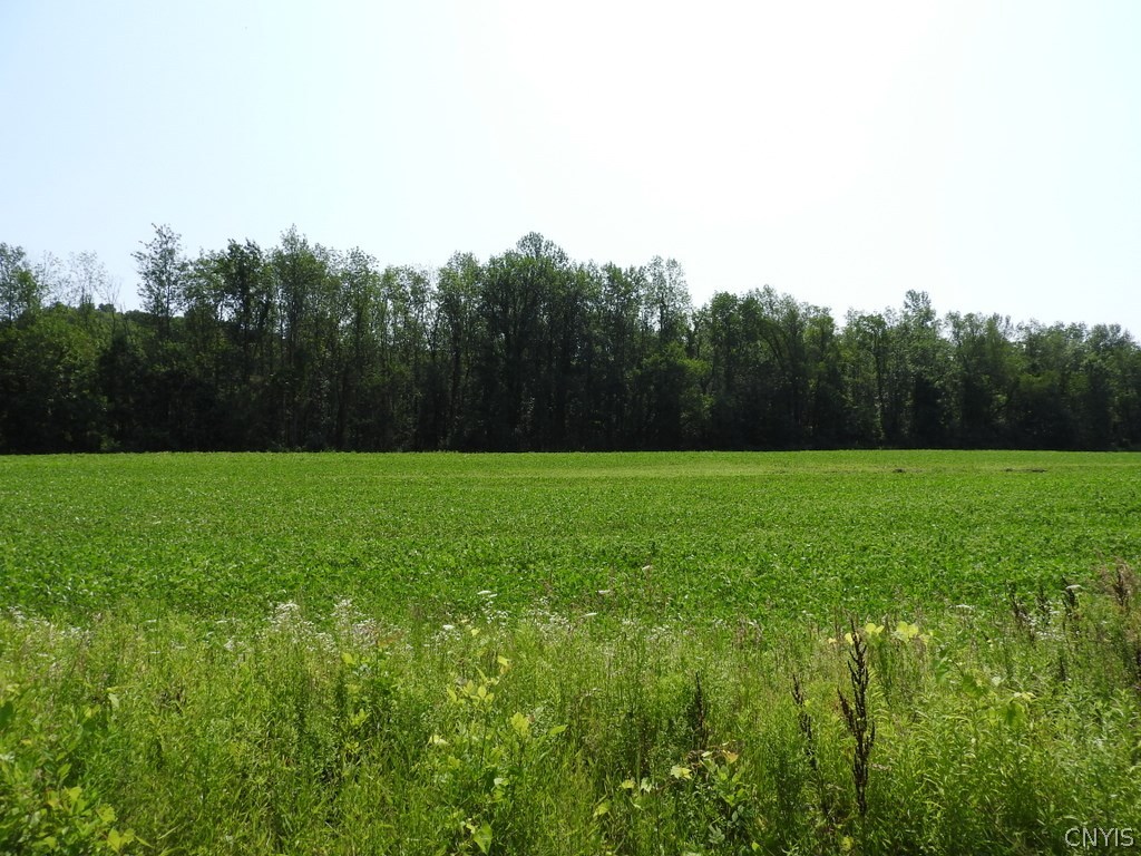 0 Shepherd Road Weedsport, NY 13166 - Photo 1 of 1 Gallery Image 1