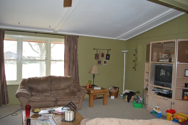 1233 Springdale Drive Rochelle, IL 61068 - Photo 4 of 10