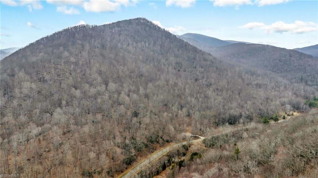 Three Top Road Todd, NC 28684 - Photo 11 of 24