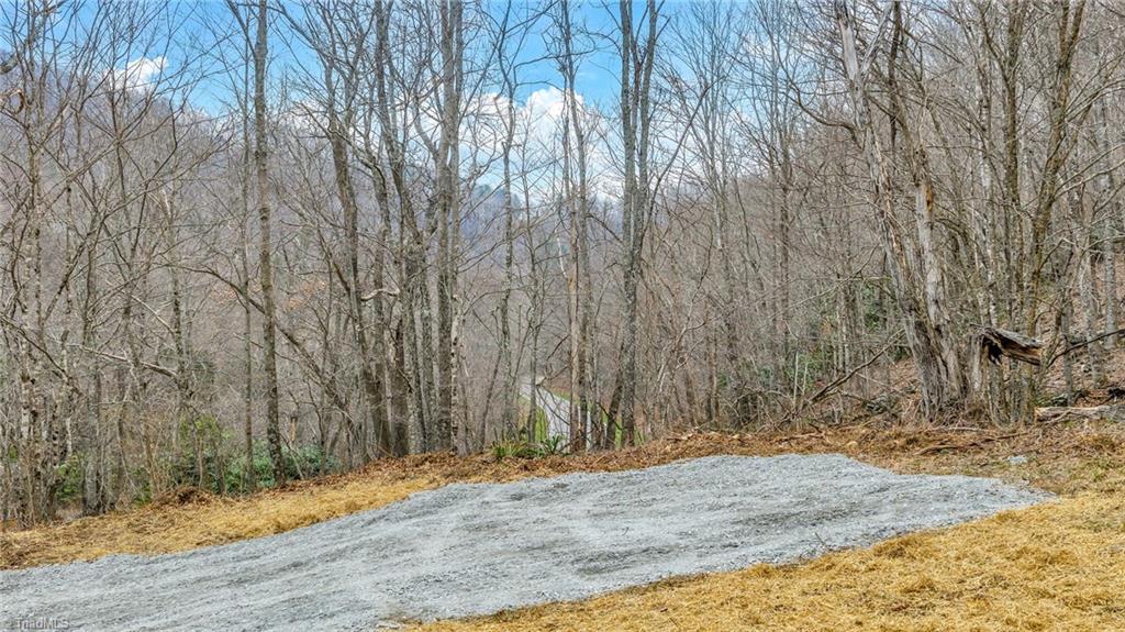 Three Top Road Todd, NC 28684 - Photo 15 of 24