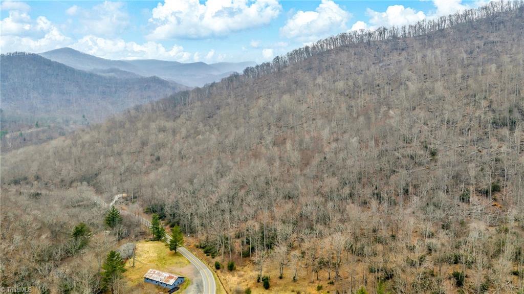 Three Top Road Todd, NC 28684 - Photo 16 of 24