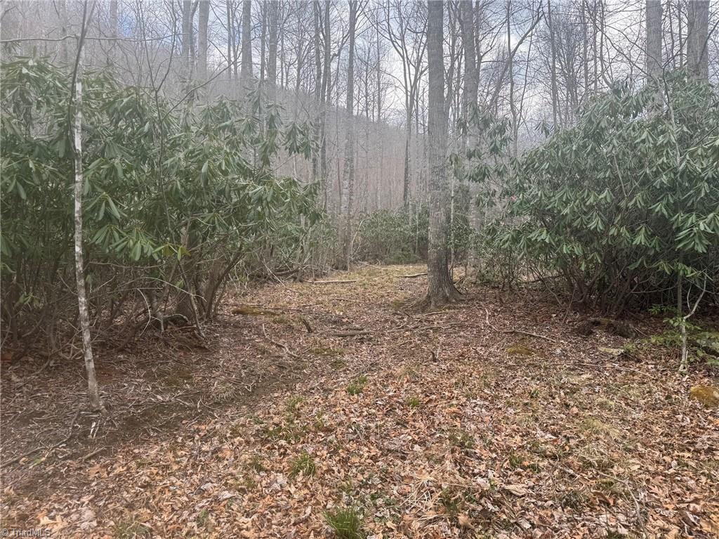 Three Top Road Todd, NC 28684 - Photo 17 of 24