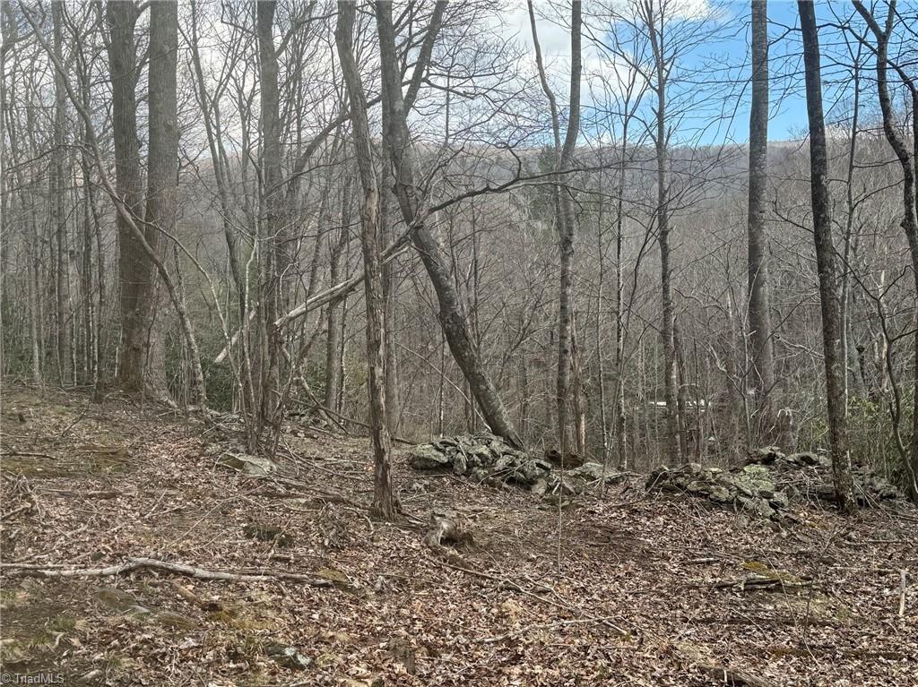 Three Top Road Todd, NC 28684 - Photo 18 of 24