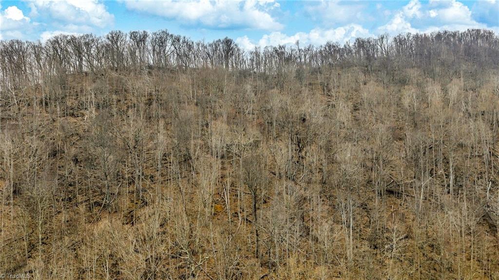 Three Top Road Todd, NC 28684 - Photo 21 of 24