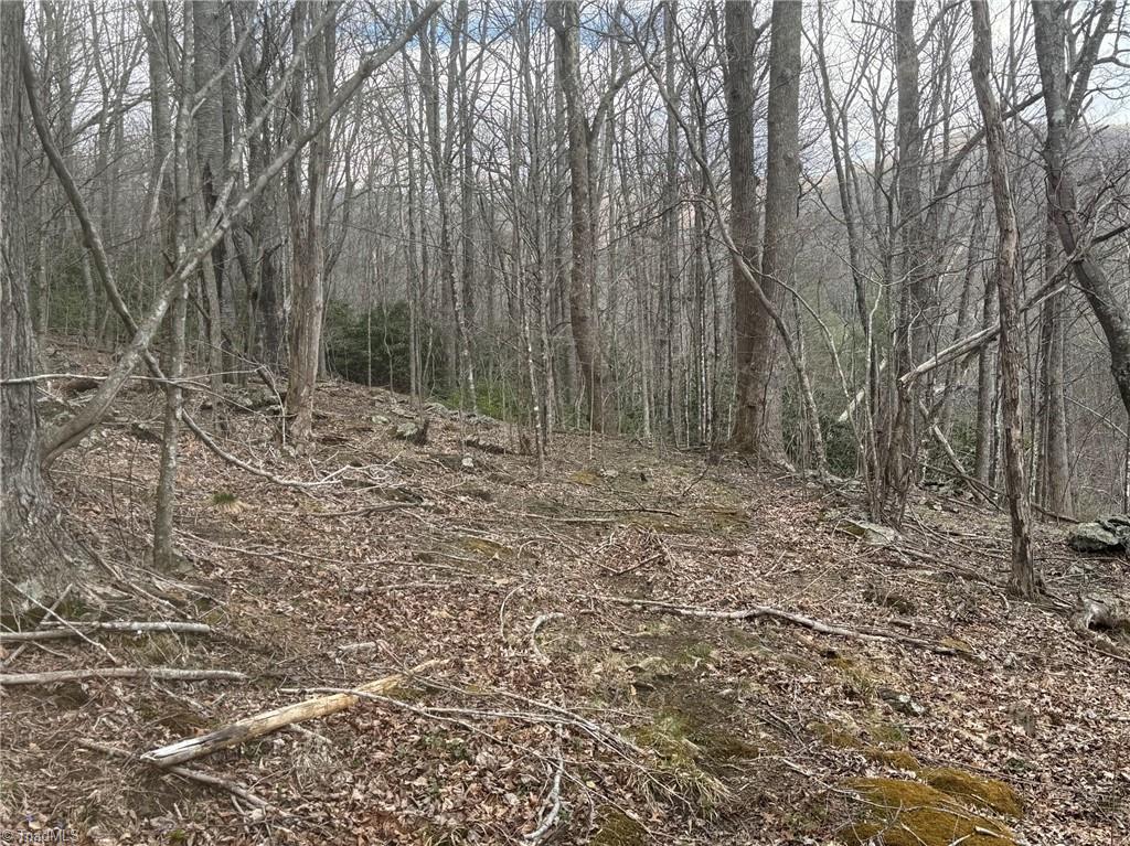 Three Top Road Todd, NC 28684 - Photo 23 of 24
