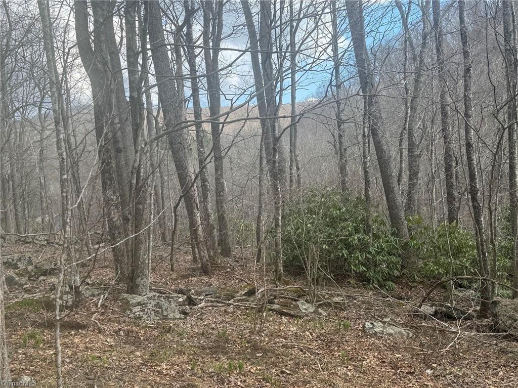 Three Top Road Todd, NC 28684 - Photo 5 of 24