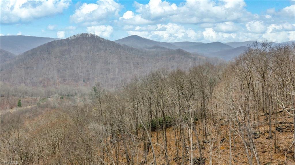 Three Top Road Todd, NC 28684 - Photo 8 of 24