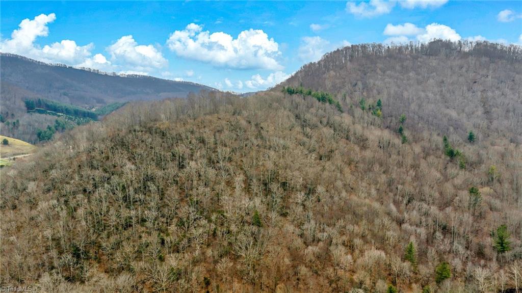 Three Top Road Todd, NC 28684 - Photo 9 of 24