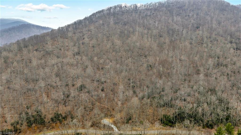 Three Top Road Todd, NC 28684 - Photo 10 of 24