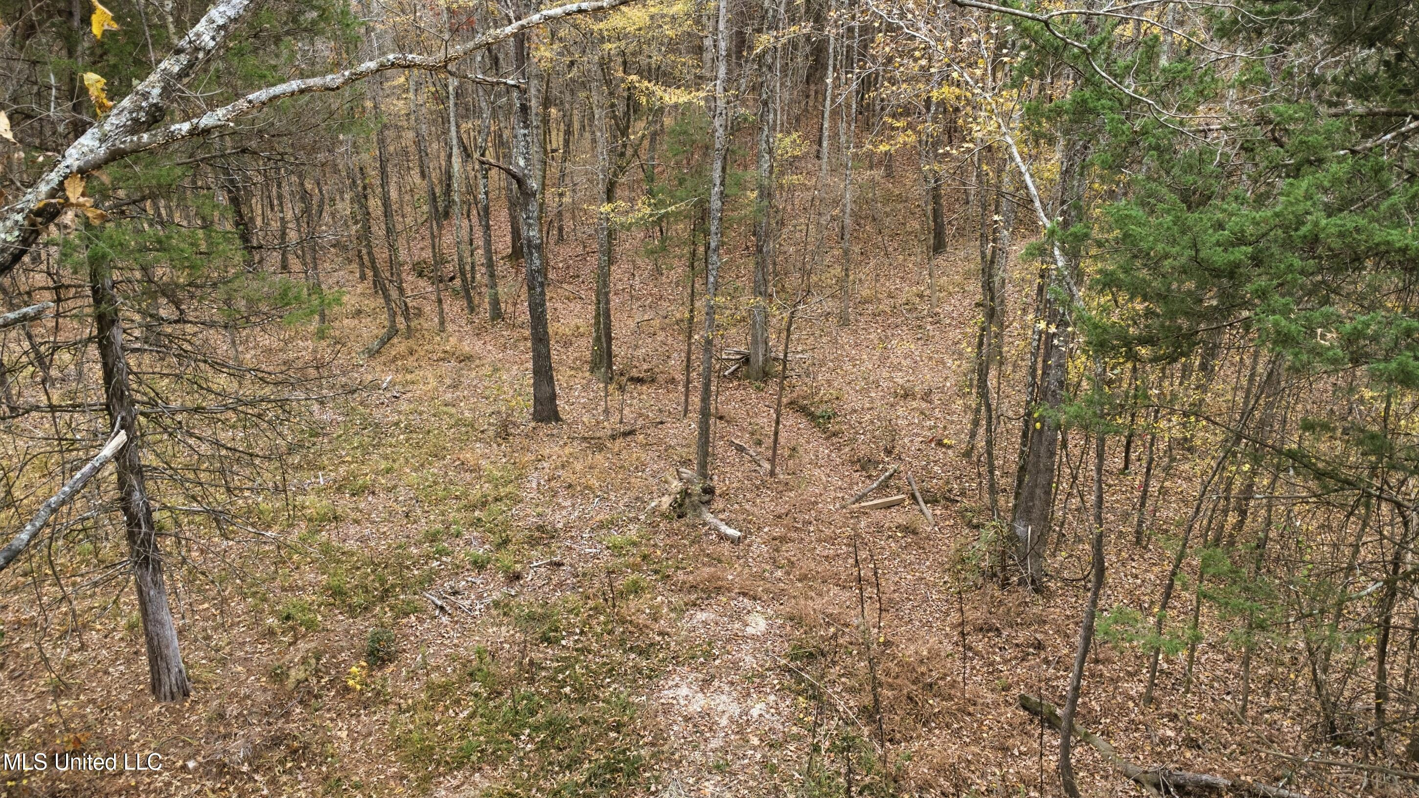 7 Wall Hill Road Byhalia, MS 38611 - Photo 4 of 9 IMG_0302