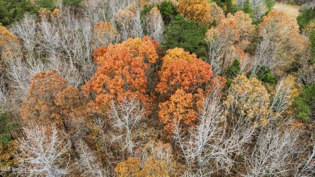 $107,500 | 7 Wall Hill Road, Byhalia, MS 38611