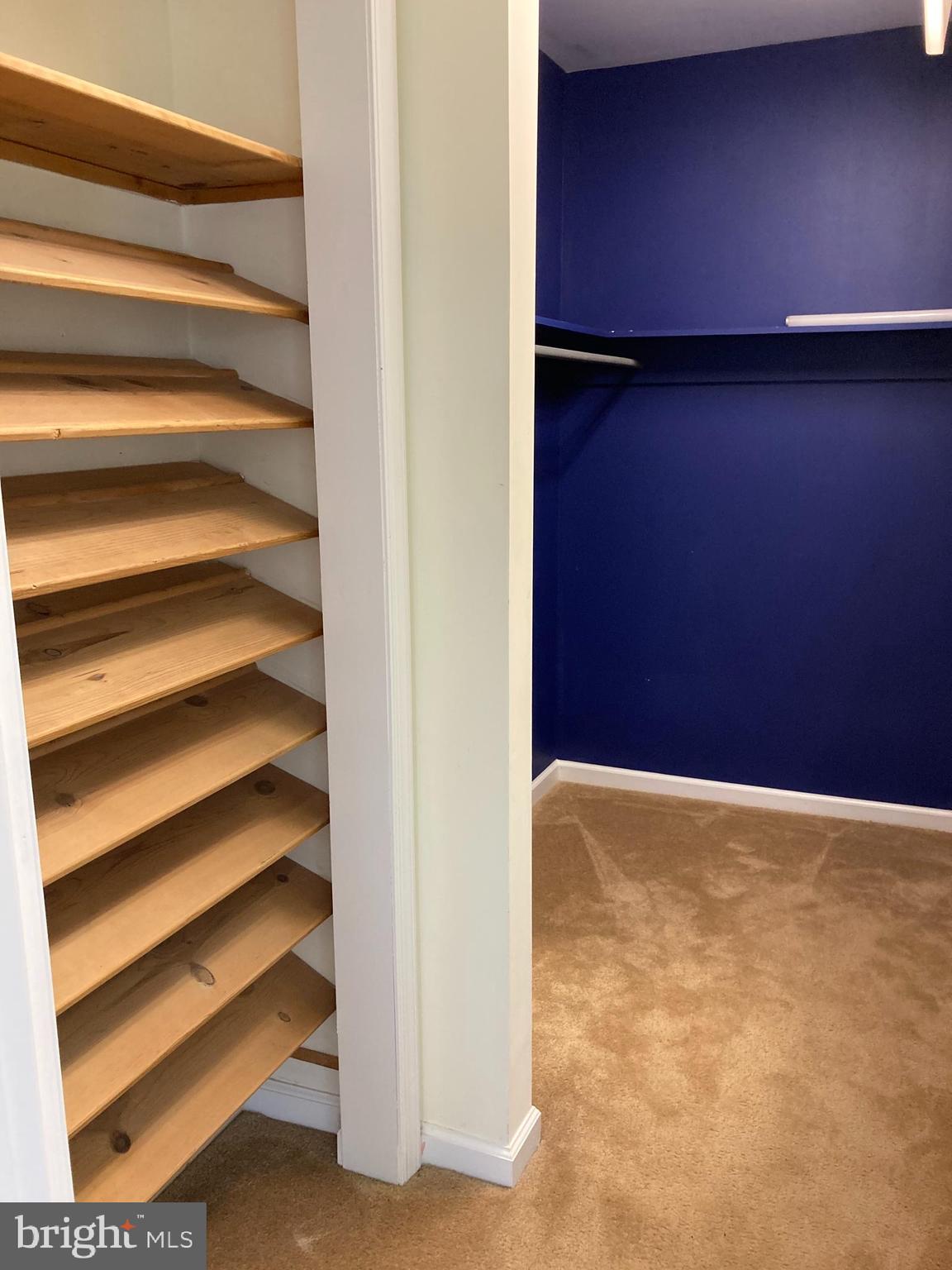1645 Chancellor Point Road Trappe, MD 21673 - Photo 40 of 49 walk in closet