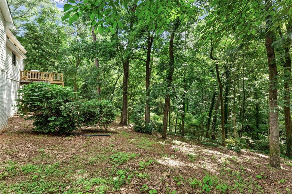 217 Skyland Drive Roswell, GA 30075 - Photo 29 of 30