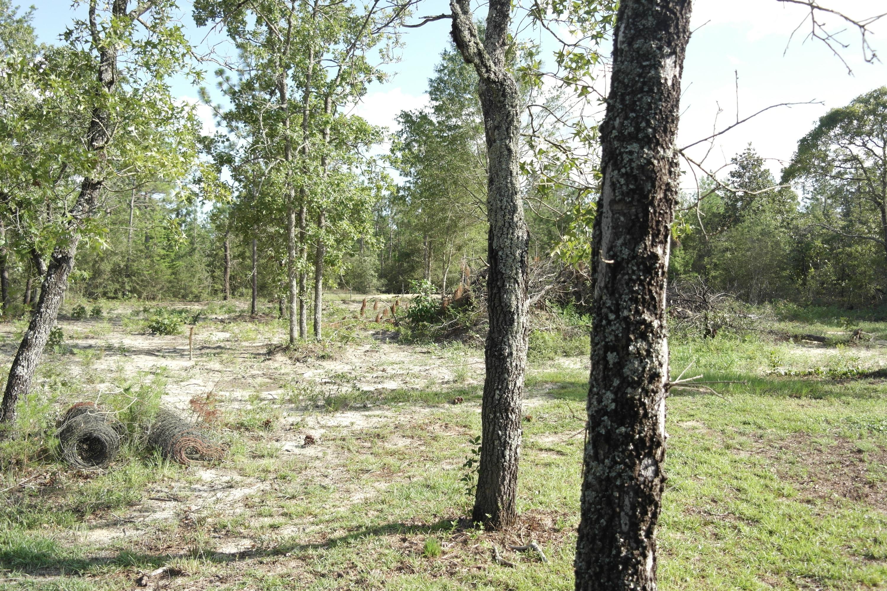 4008 Randi Road Crestview, FL 32539 - Photo 26 of 29 SAM_2488