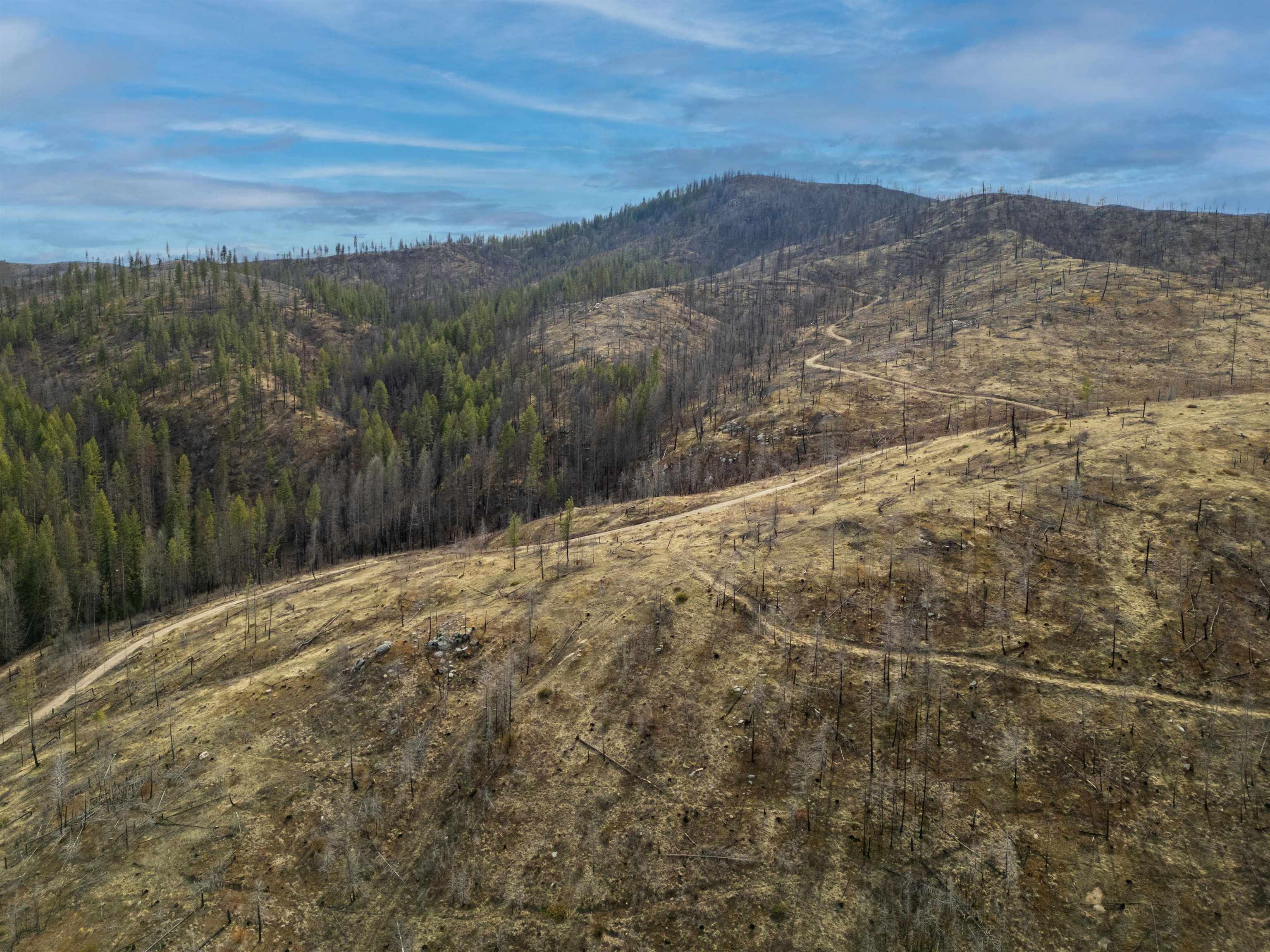 Lot 7 Rail Canyon Road Tumtum, WA 99034 - Photo 5 of 24 Gallery Image 5