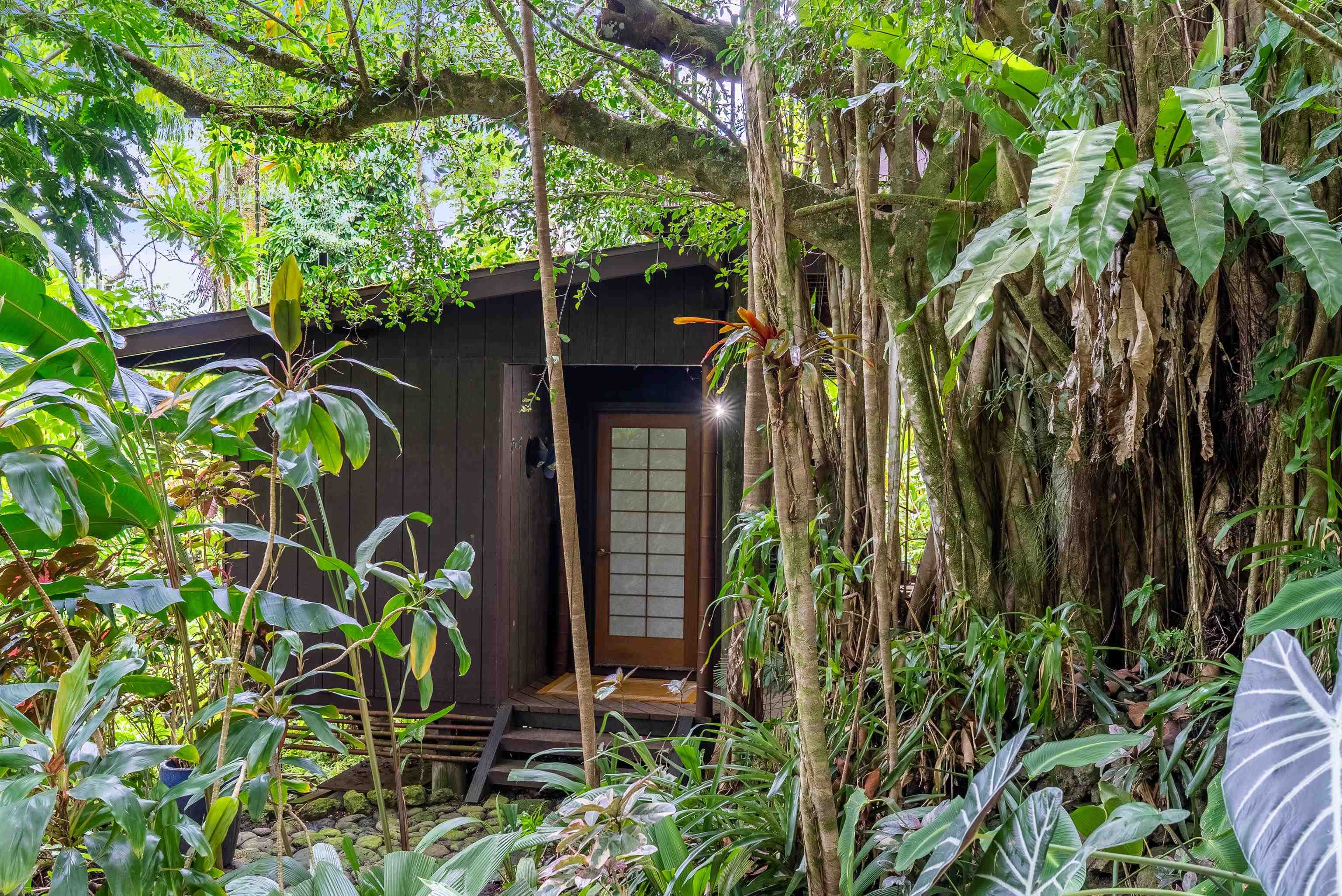 1600 Lower Nahiku Road Hana, HI 96713 - Photo 12 of 23