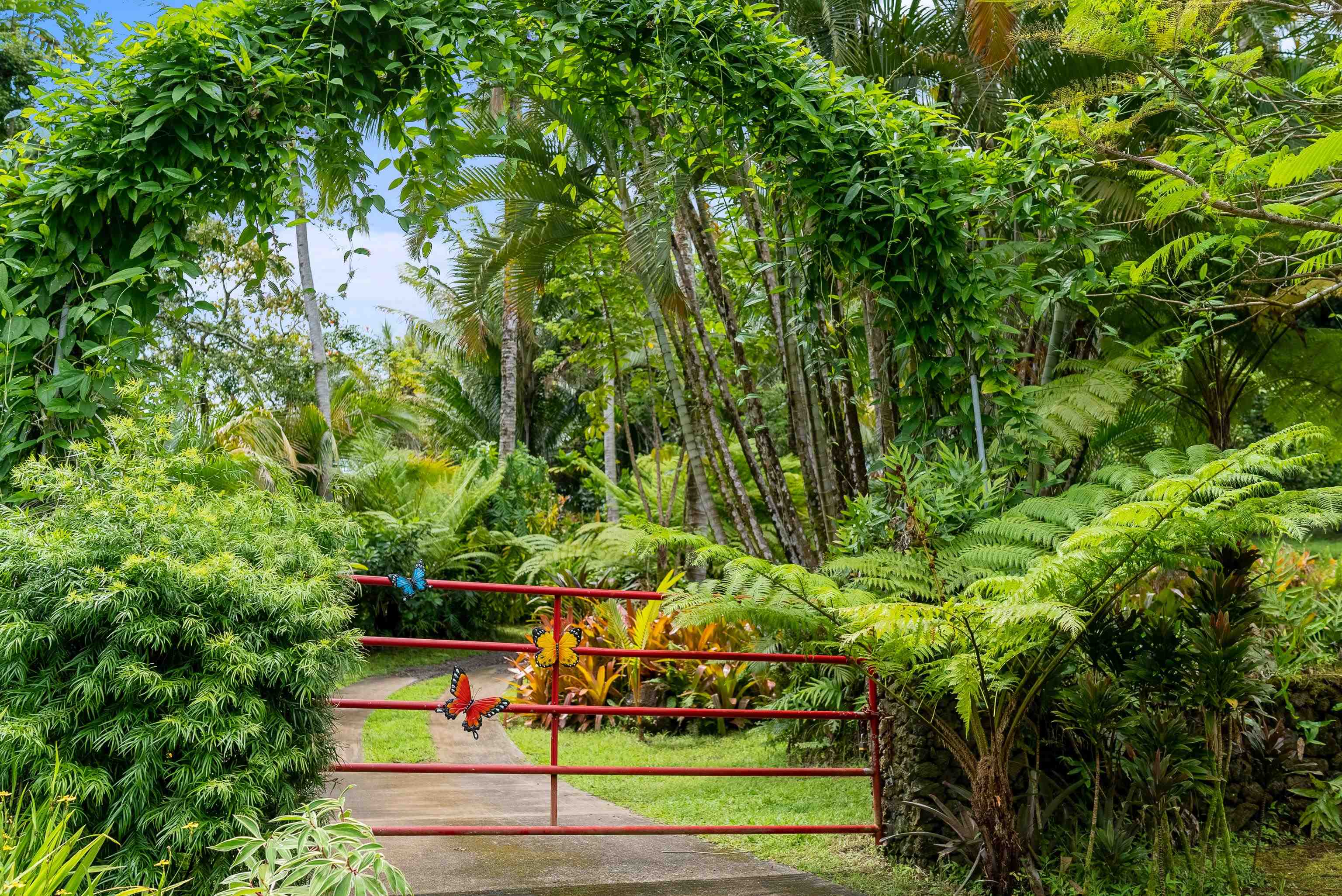 1600 Lower Nahiku Road Hana, HI 96713 - Photo 17 of 23 a view of a yard with plants