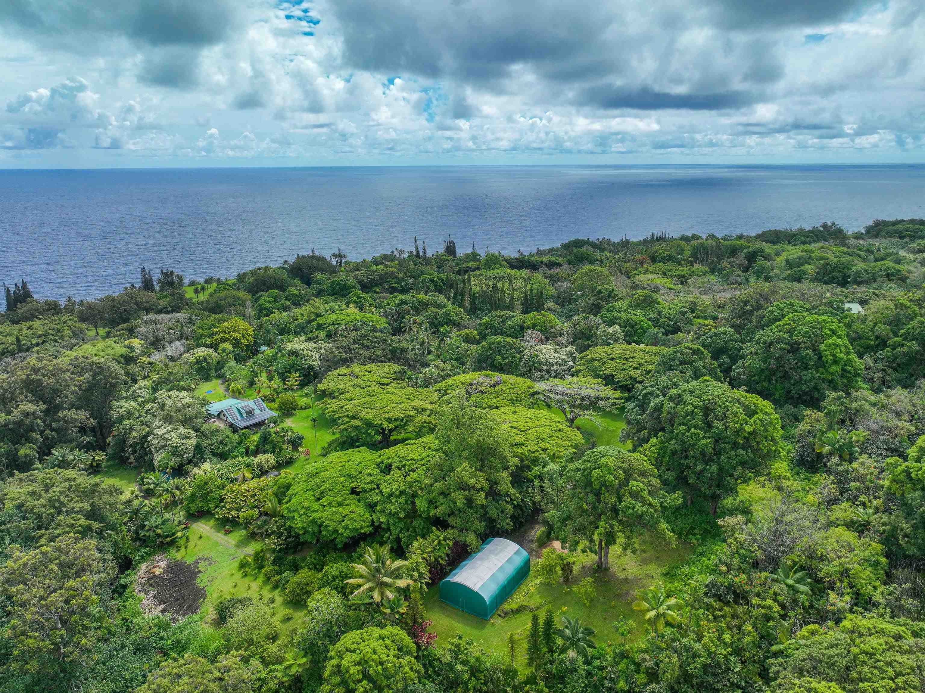 1600 Lower Nahiku Road Hana, HI 96713 - Photo 3 of 23 a view of a garden with an outdoor space