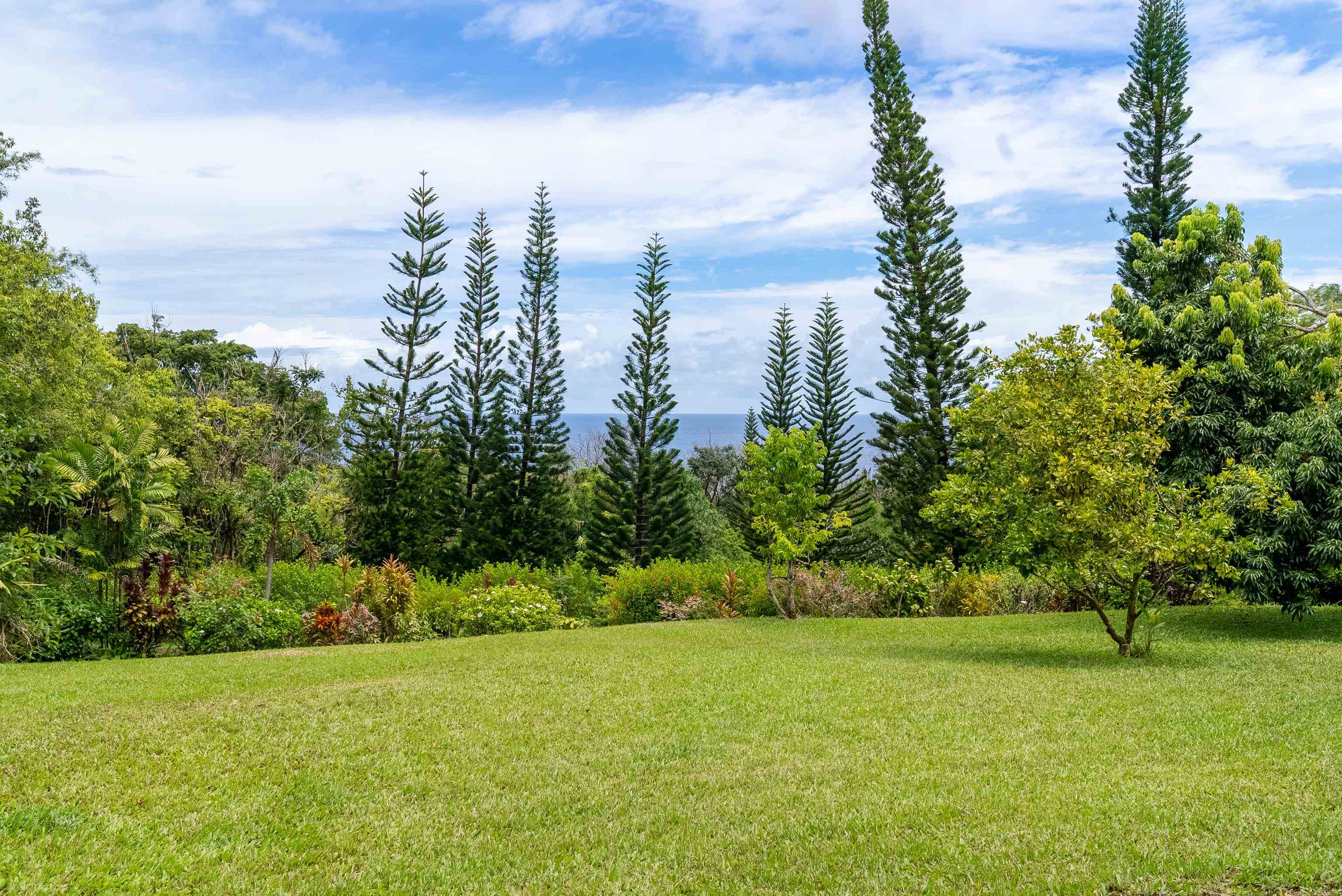 1600 Lower Nahiku Road Hana, HI 96713 - Photo 8 of 23 a view of a field with a tree