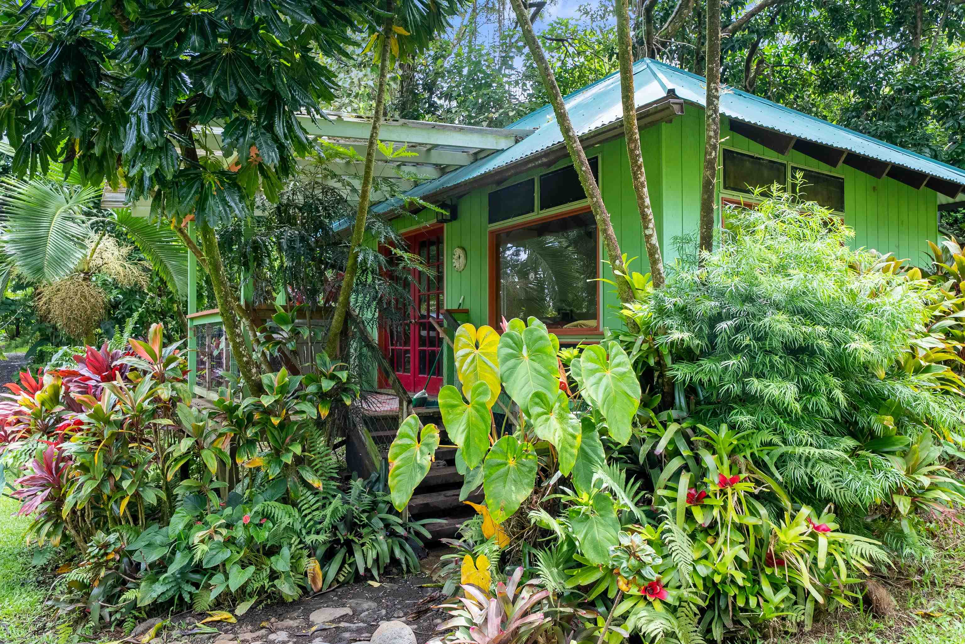 1600 Lower Nahiku Road Hana, HI 96713 - Photo 10 of 23 a backyard of a house with lots of green space