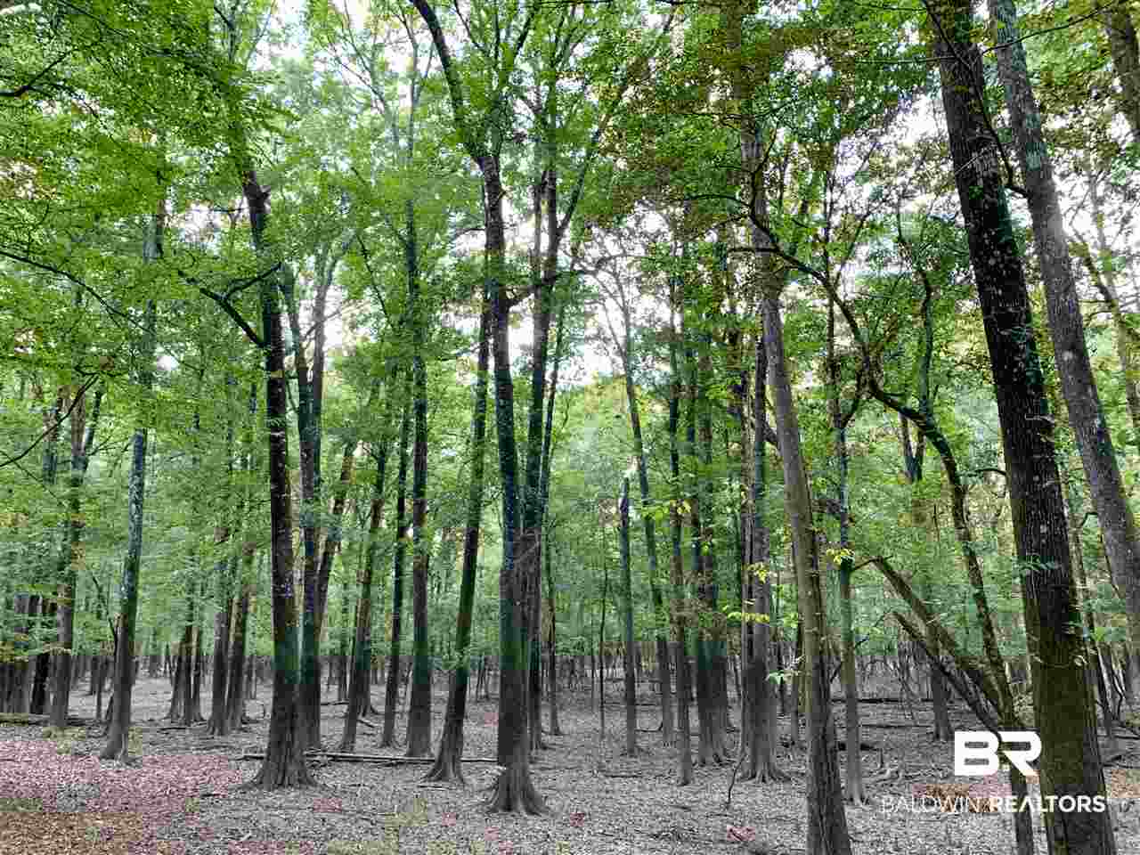 0 Holly Creek Road Stockton, AL 36579 - Photo 45 of 50